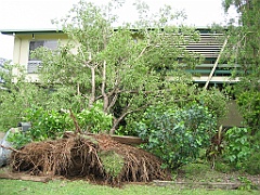 Cairns26 Cyclone Larry